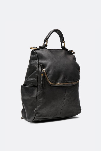 Arezzo Gold Black
