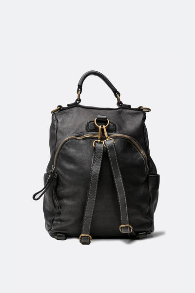 Arezzo Gold Black